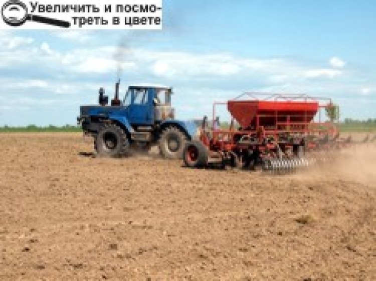 НОВОГРАД-ВОЛИНСЬКІХЛІБОРОБИ — НАЙКРАЩІ!