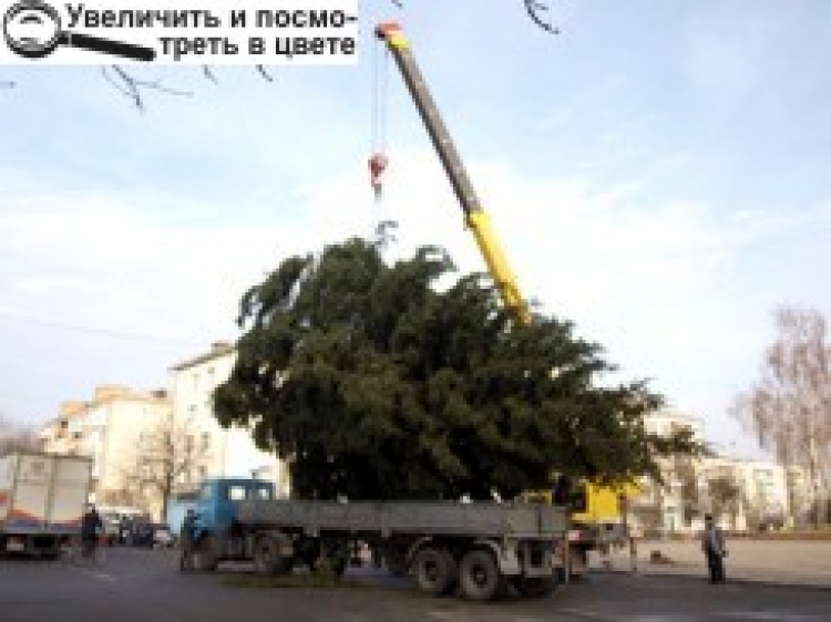 ПОГОДА ПОКИ ЩО НЕ ЗИМОВА, АЛЕ СВЯТА — ЗА ГРАФІКОМ