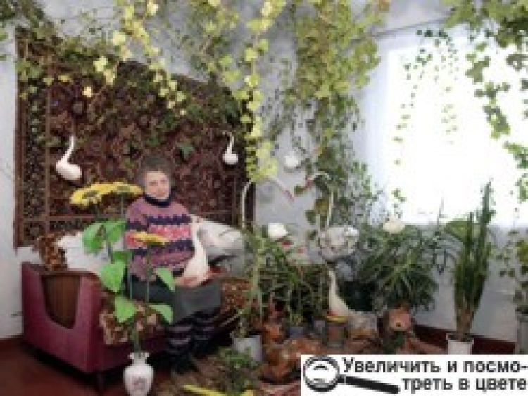 ДИВО-ПЛЮЩ РЯТУЄ ВІД САМОТНОСТІ