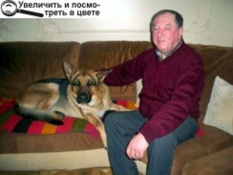«У «ЗАСТІЙНІ» 80-ТІ У НОВОГРАДІ-ВОЛИНСЬКОМУ «ЗАСТОЮ» НЕ БУЛО»