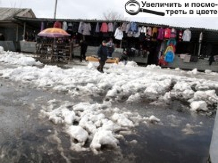 СНІГ ПАРАЛІЗУВАВ РОБОТУ НА «УРОЖАЇ»? ДИРЕКТОР РИНКУ ЦЕ КАТЕГОРИЧНО ЗАПЕРЕЧУЄ