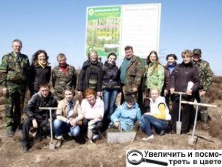 «ЖУРНАЛІСТСЬКИЙ ЛІС» ПОПОВНИВСЯ НОВИМИ САДЖАНЦЯМИ