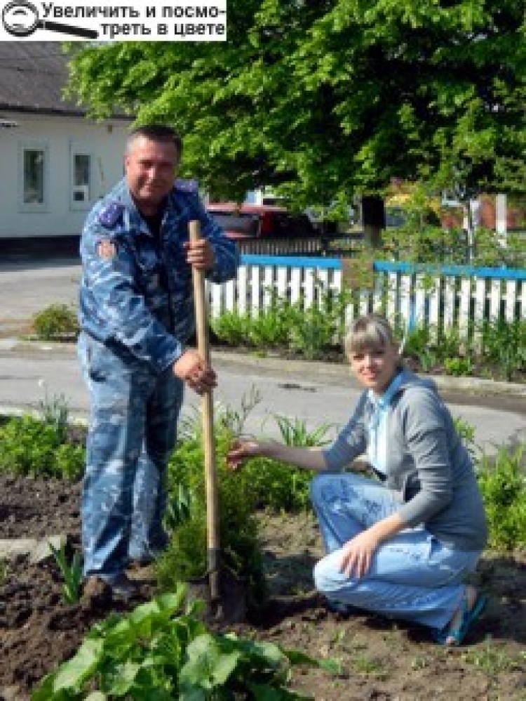 ВОНИ САДЖАЮТЬ НЕ ЛИШЕ ЗЛОЧИНЦІВ, А Й ДЕРЕВА