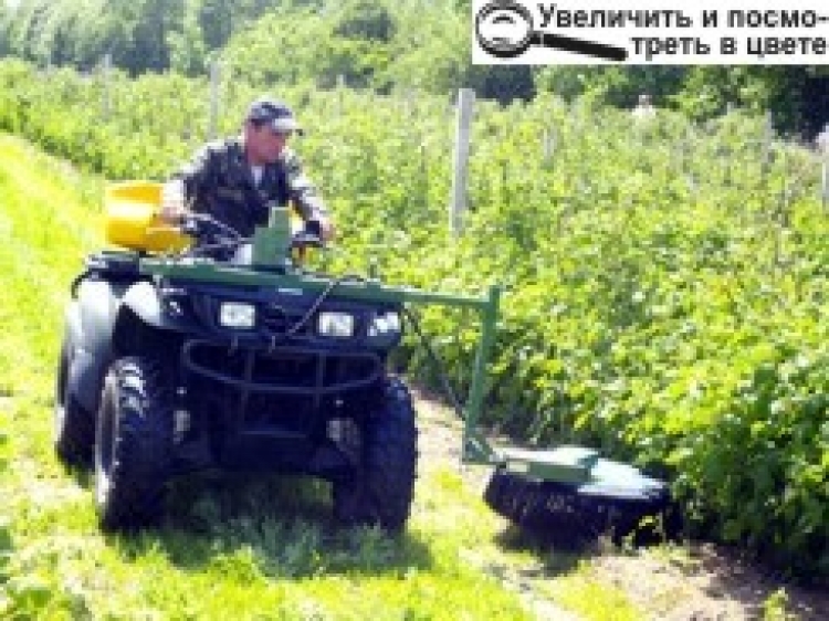 НА БАРВИНІВСЬКИХ ПОЛЯХ ВИРОЩУЮТЬ... ЧОРНИЦЮ ТА МАЛИНУ