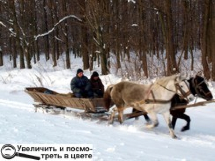 «Коли був дитиною, — любив сніг. Тепер терпіти не можу…»