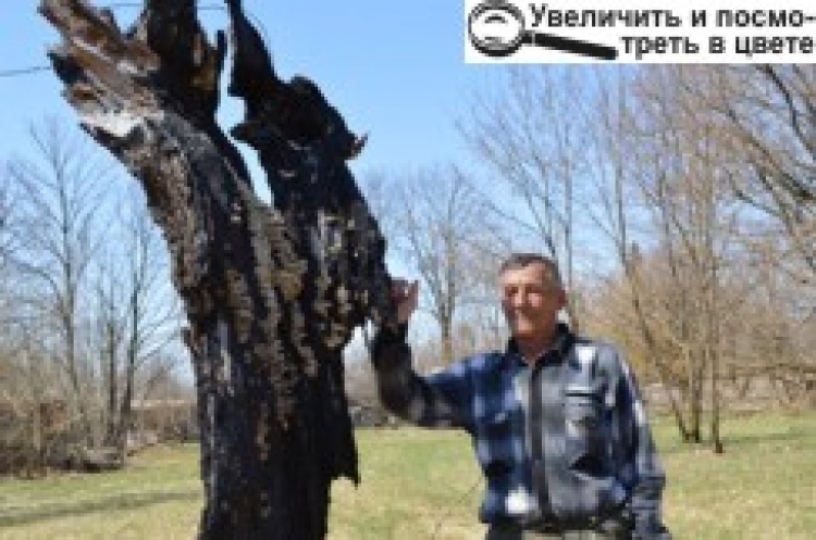 Вони живуть і господарюють поруч із «мирним атомом»