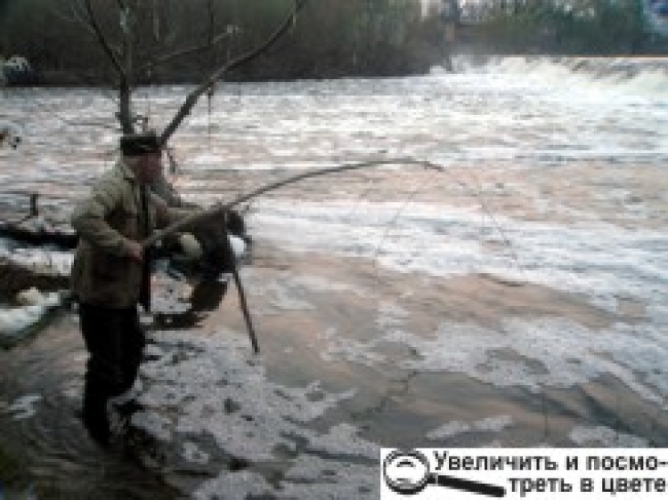 У нічному рейді порізали колеса...