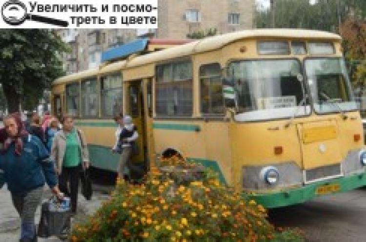 Скиньтесь Житомиру! Йому не вистачає…
