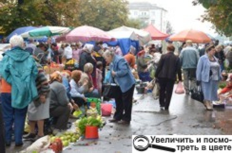 Бабине літо щедро обдаровує теплом, врожаєм та гарним настроєм