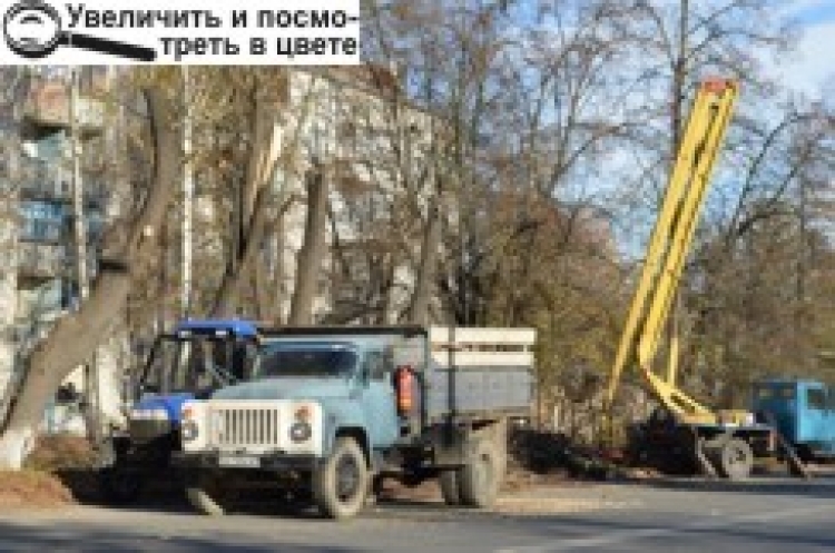 «Не знищення зелені, а кронування дерев», — так комунальники пояснюють свої дії біля школи-інтернату