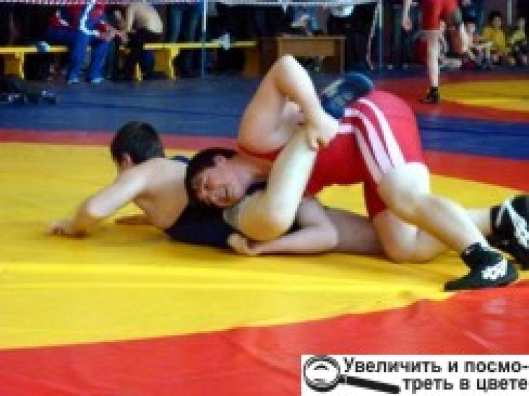 Майстри змагалися на «Терновому полі»