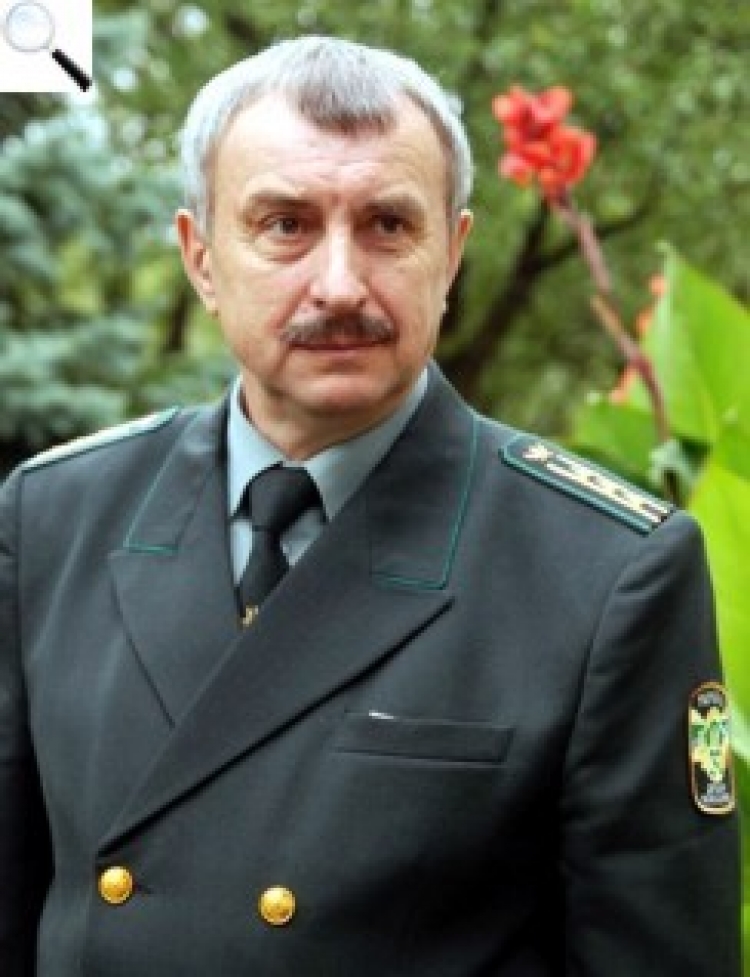Лісівники переходять на європейський рівень виробництва