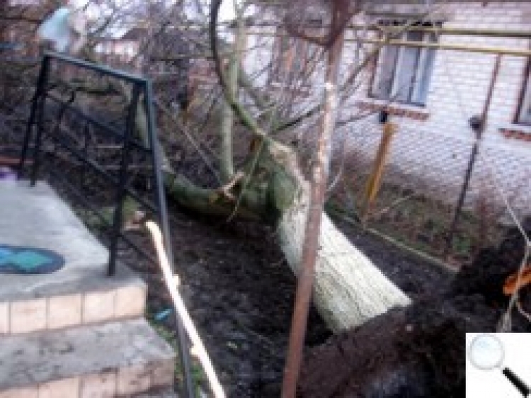 Буревій був милостивим
