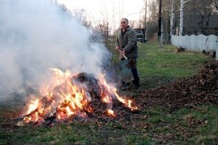 Дихайте «на здоров’я»: разом з повітрям — порція канцерогенів від спаленого листя