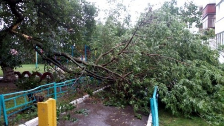 Швидкість вітру під час буревію сягала 75 км/год