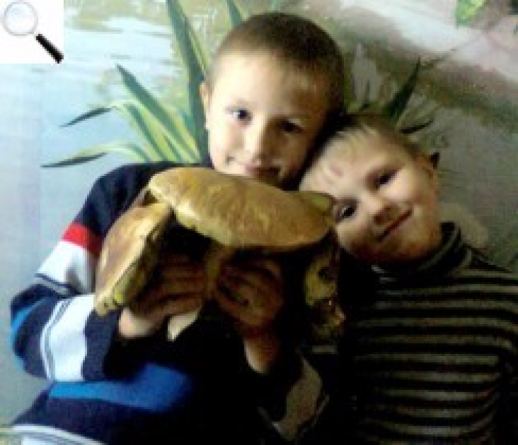Фотоконкурс: «Приколи саду та городу»