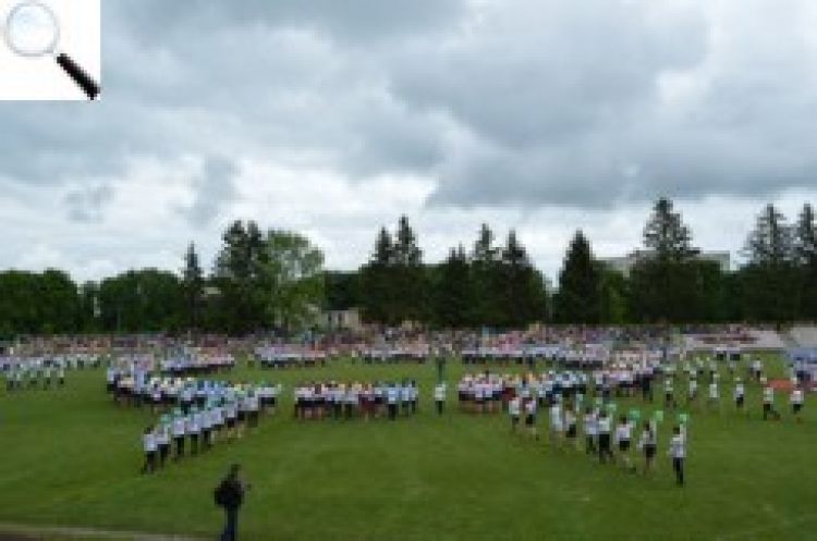 Новоград — місто рекордів: понад 700 осіб утворили живий вінок