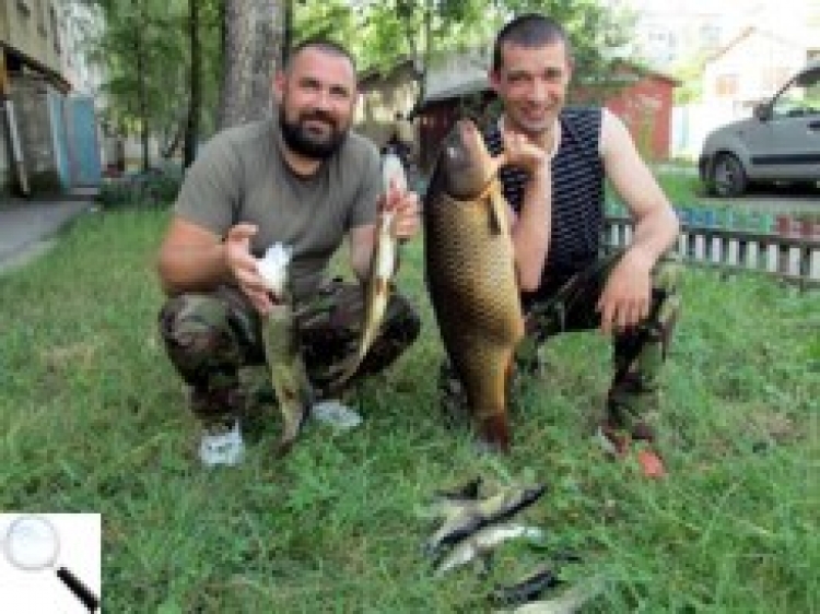 У Случі новоград-волинці зловили на спінінг коропа вагою 7,3 кг