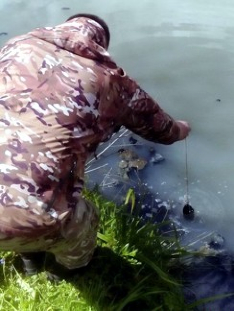 У річці Хоморі — лівій притоці Случі — азот амонійний втричі перевищує норму