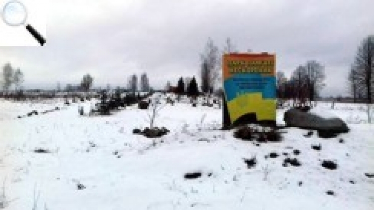 Крадіжки ялинок — новорічний «подарунок» вандалів