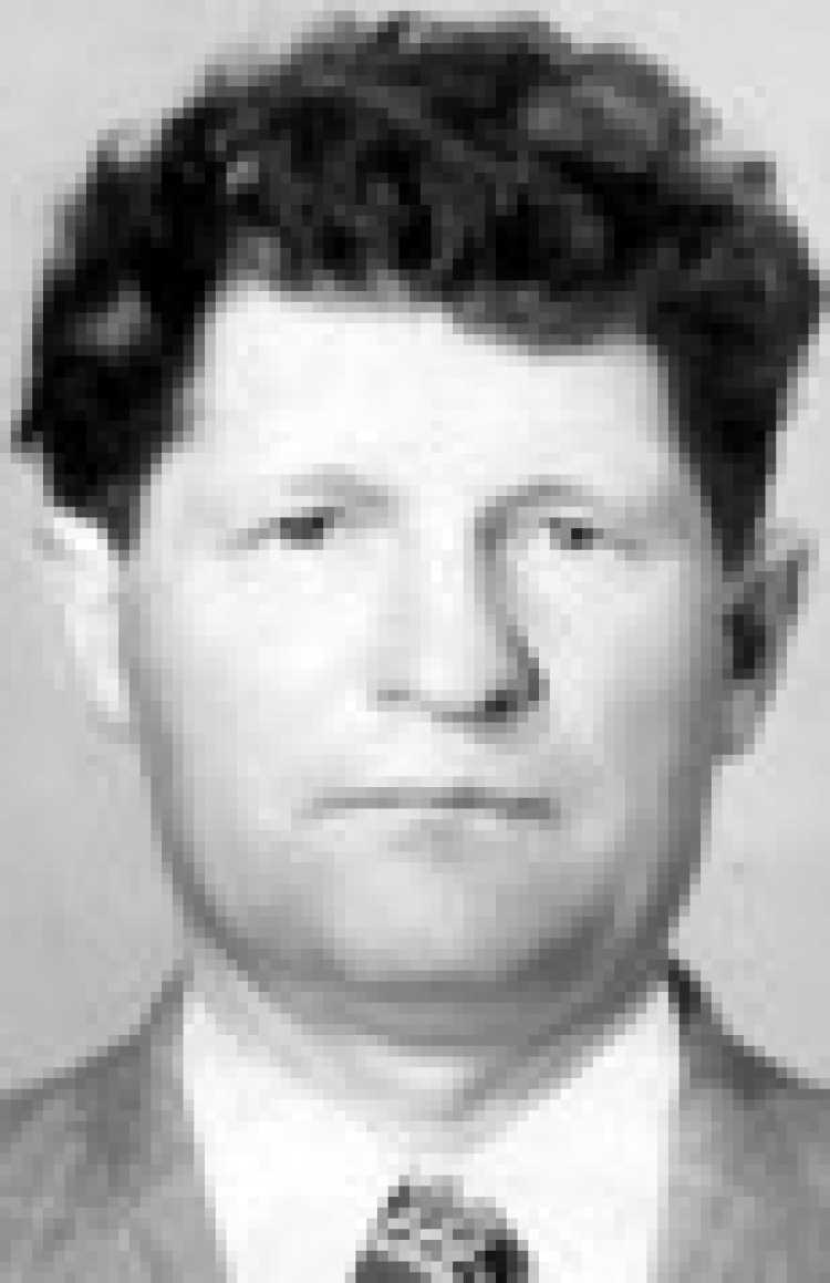 Вітання 1/2019