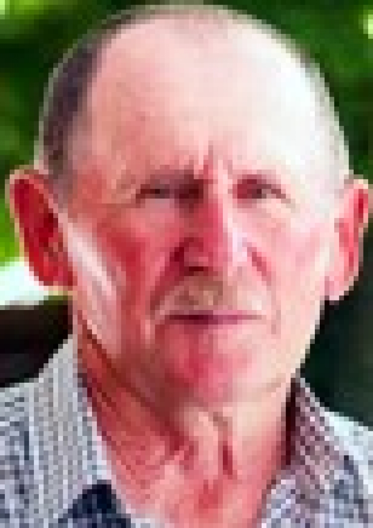 Вітання 29/2019