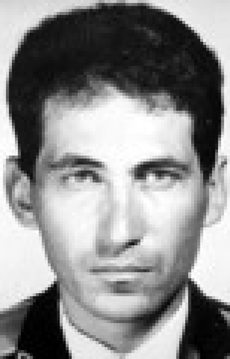 Вітання 33/2019