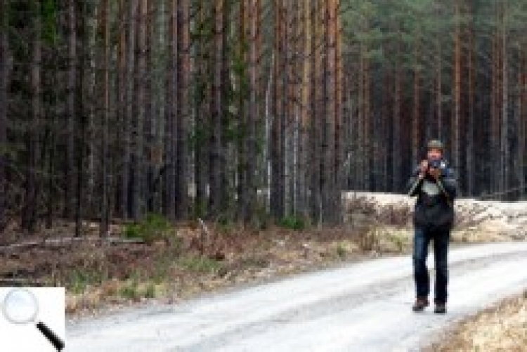 Птахи з Червоної книги і душа лісу — ніщо не сховається від його об’єктива