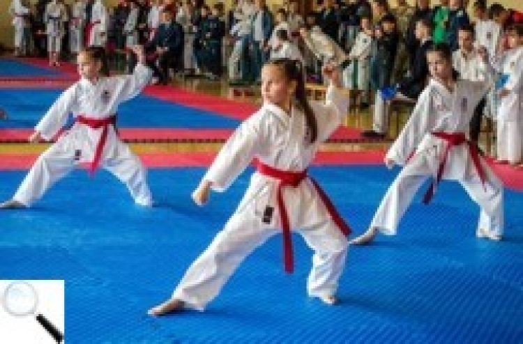 У Новограді пройшов чемпіонат Житомирської області з карате