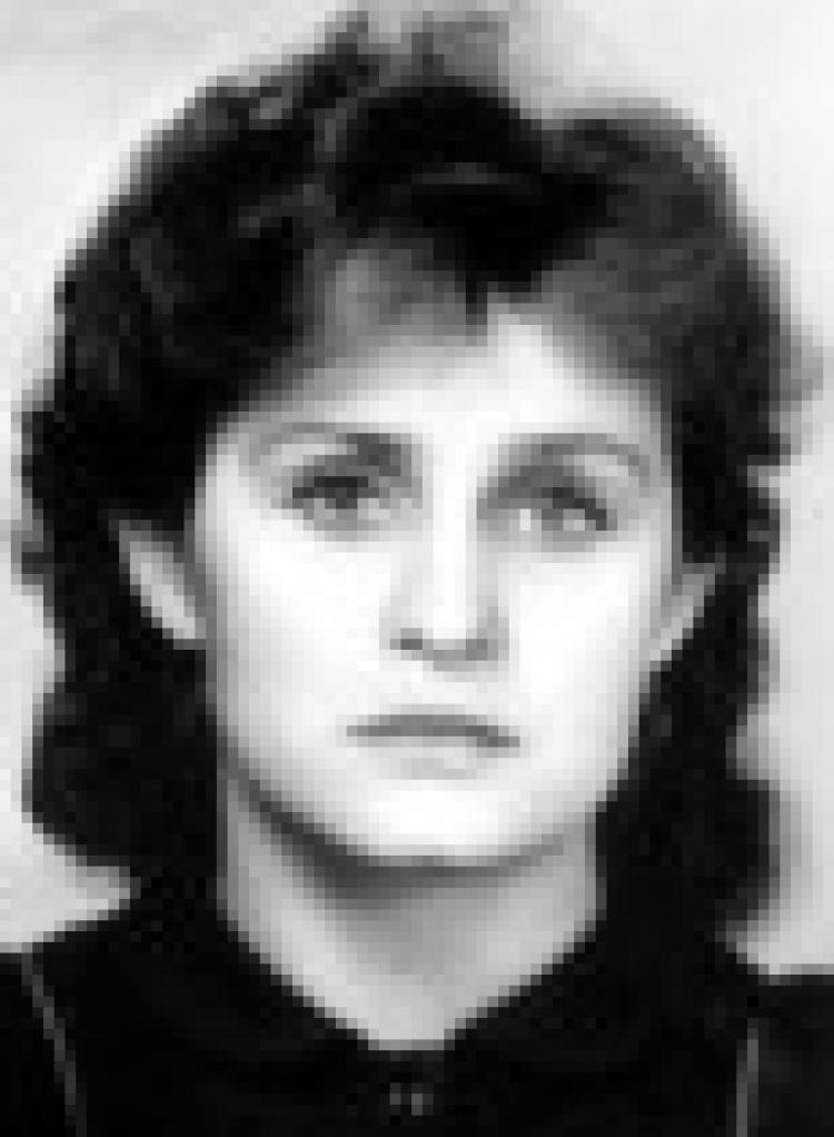 Вітання 49/2019