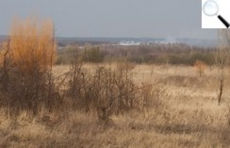 Не лише вірус — жителів «Дружби» знову труїть дим зі звалища