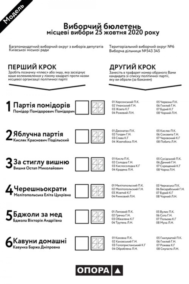 Як правильно проголосувати, щоб не зіпсувати бюлетень?
