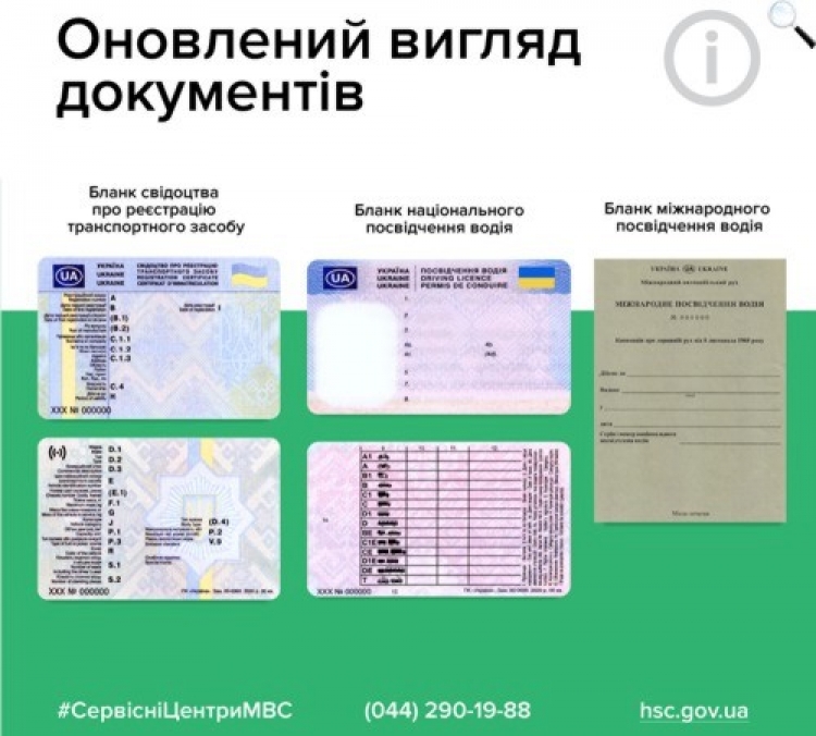 Група крові, згода на донорство, інформація трьома мовами: уряд затвердив нові бланки посвідчення водія