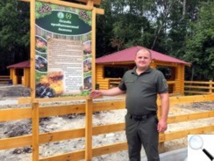 Відпочинок на природі: комфортний для людей і безпечний для лісу