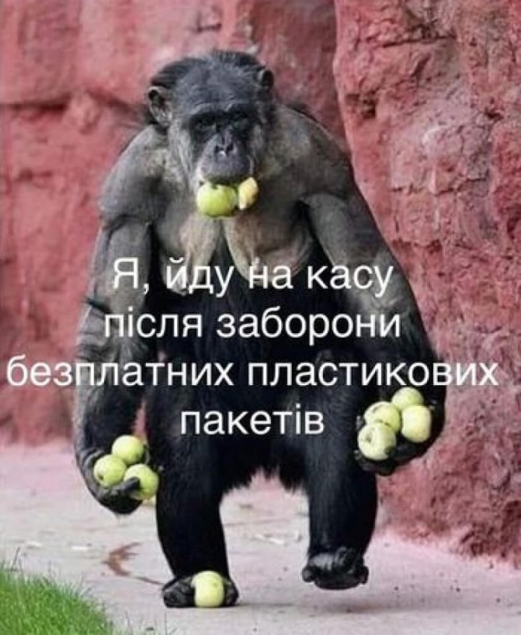 Пакетна лихоманка…