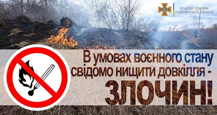 Знову «активізувалися» палії сухостою