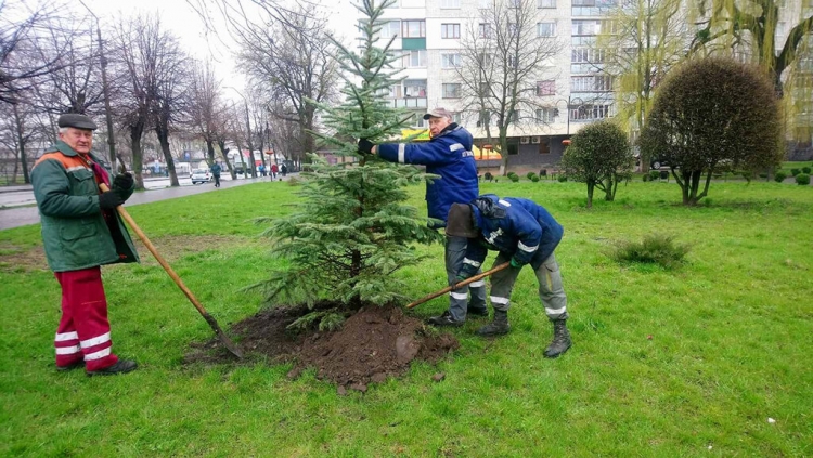 Тривають роботи з благоустрою та озеленення громади
