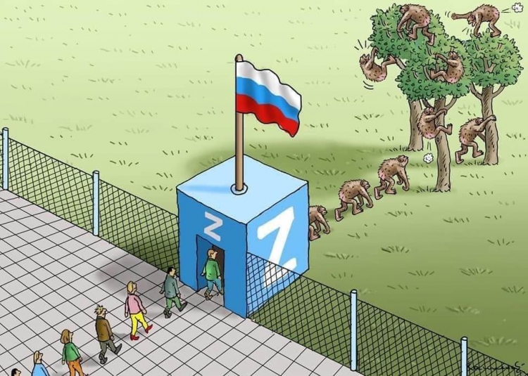 Північно-болотна брехлива покруч