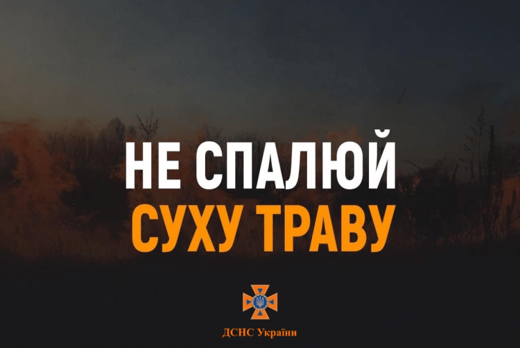 Рятувальники Звягельщини закликають громадян  не провокувати пожежі у природних екосистемах