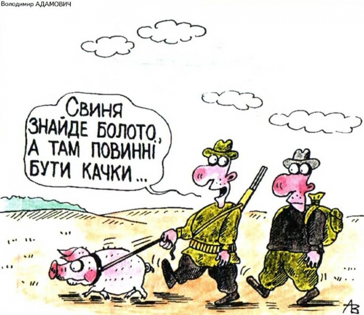 Амазонка