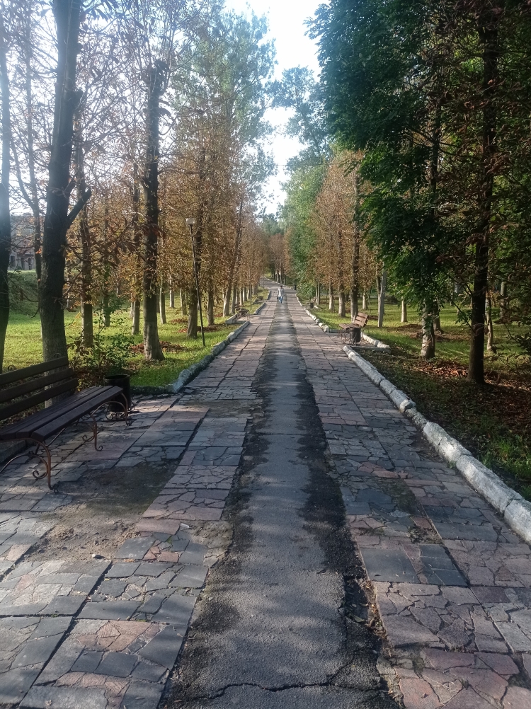 Містяни стали прикладом охайного ставлення до благоустрою