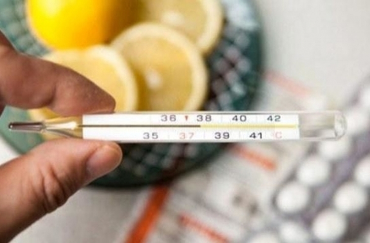 Грип та ГРВІ на Житомирщині: зниження захворюваності на 6%