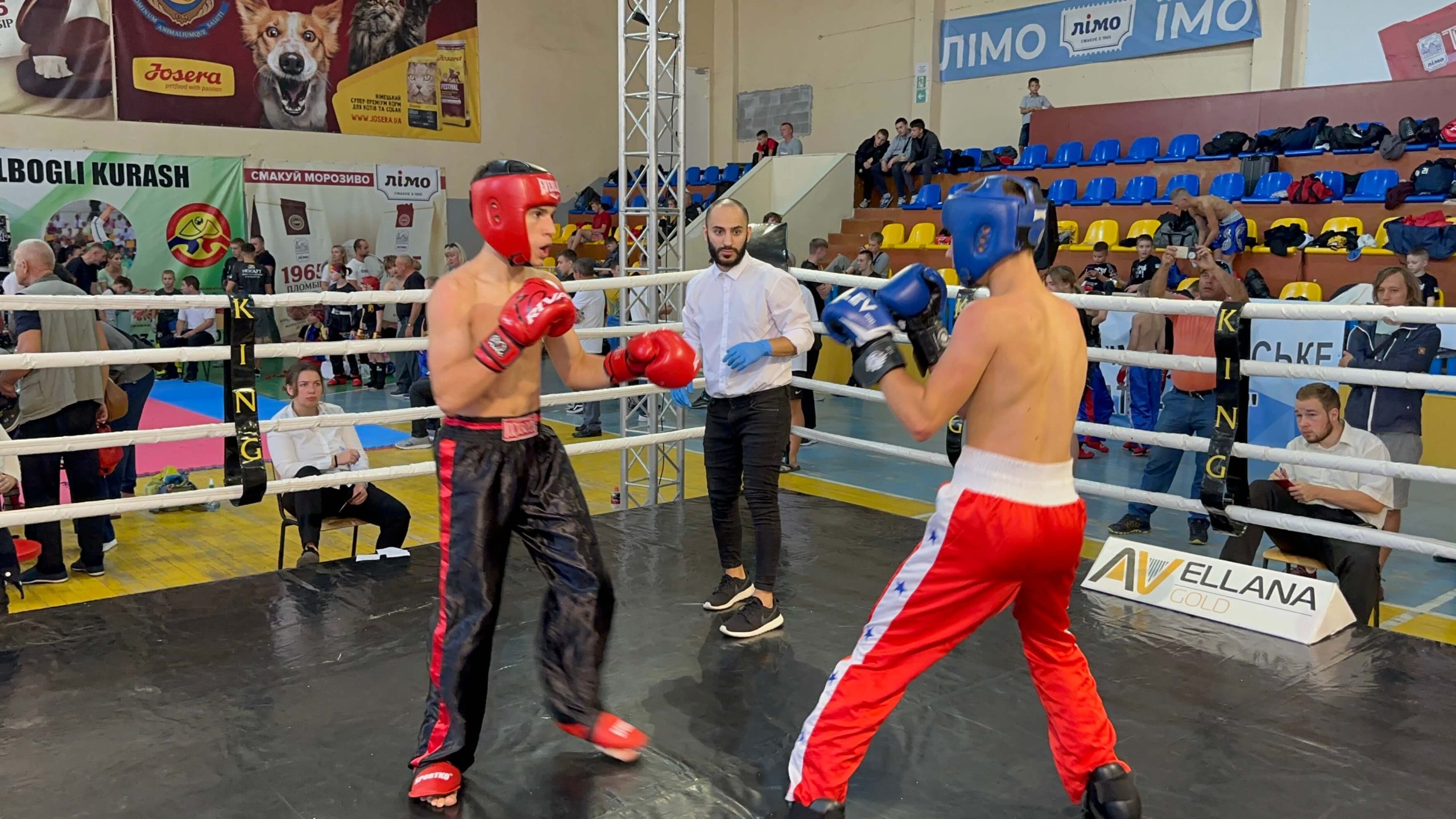 П’ятнадцять звягелян стали призерами чемпіонату України з кікбоксингу