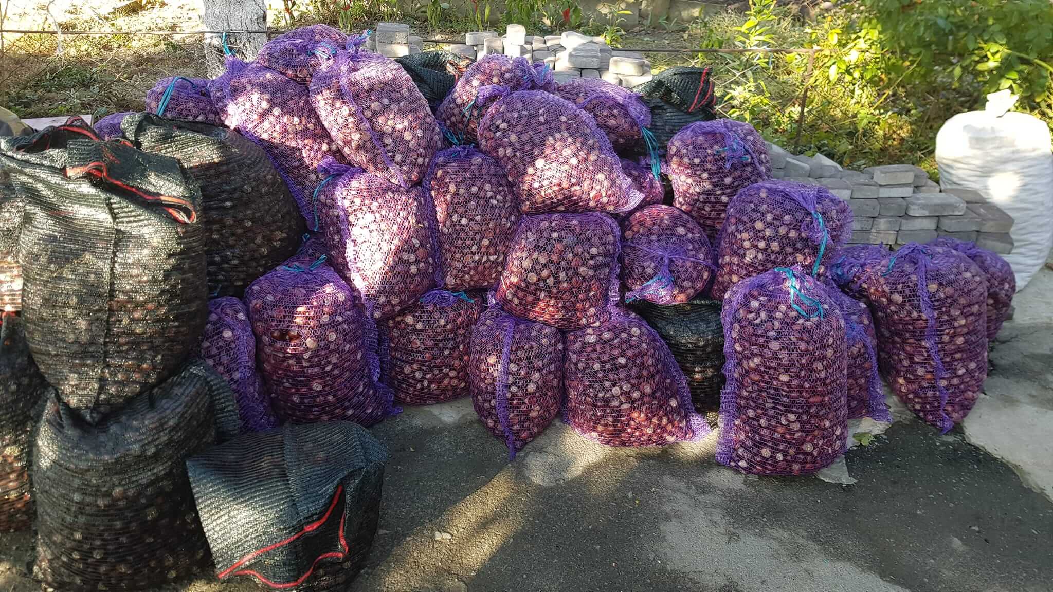 Щоб підтримати захисників, наплели брелоків на 30,5 тисяч. Тепер збирають каштани —  до акцій сім’ї долучається багато людей