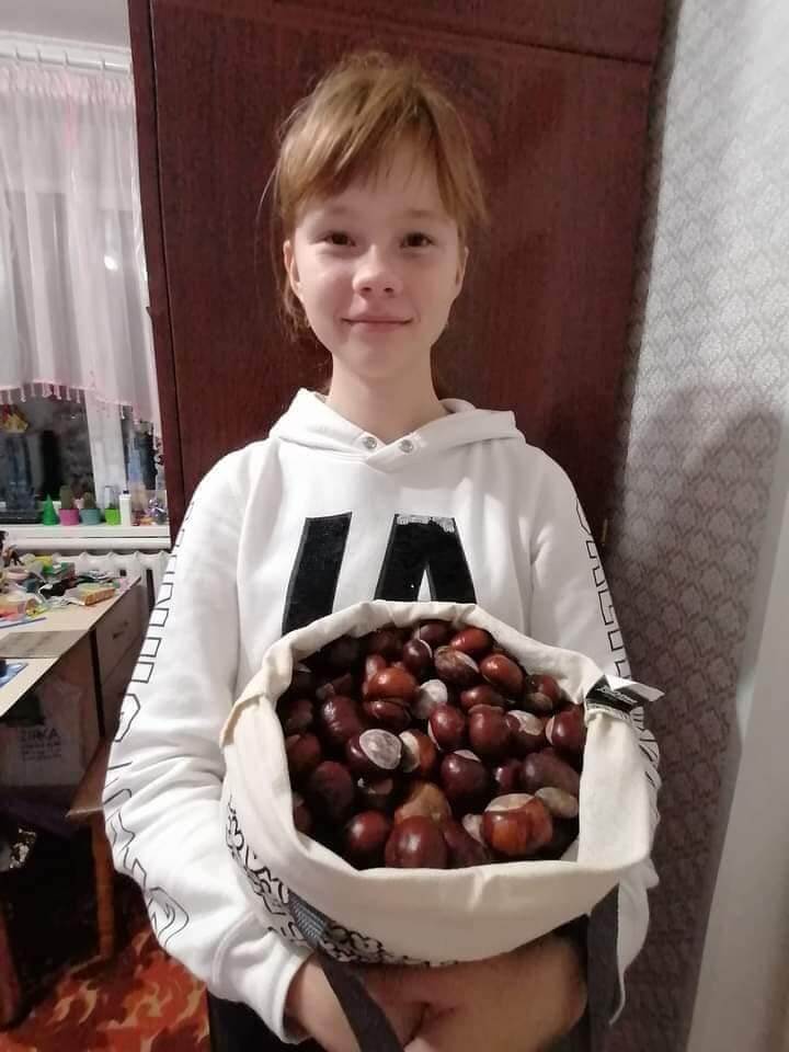 Щоб підтримати захисників, наплели брелоків на 30,5 тисяч. Тепер збирають каштани — до акцій сім’ї долучається багато людей