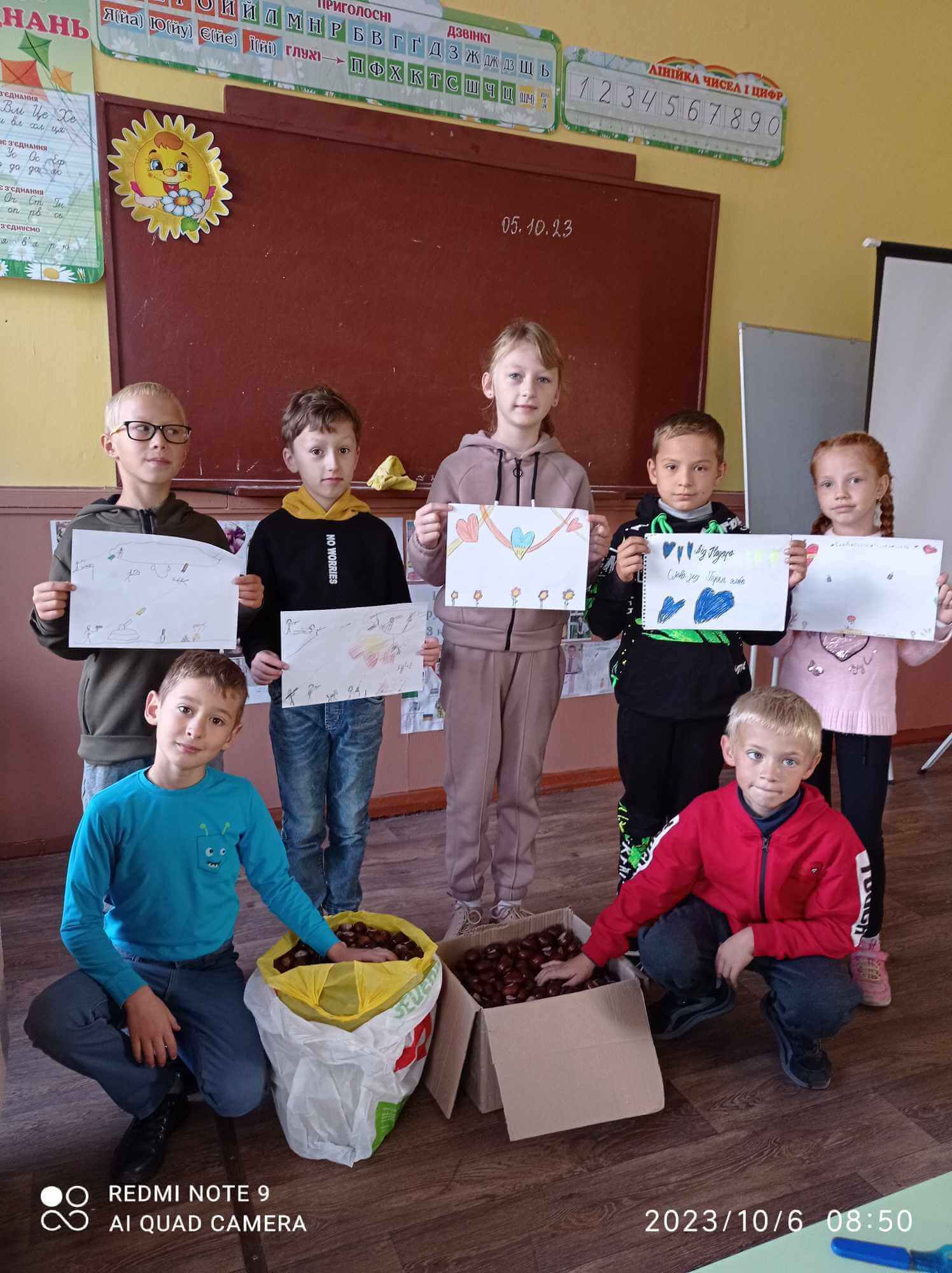 Понад 20 тисяч зібрали на потреби армії в акції зі збору каштанів