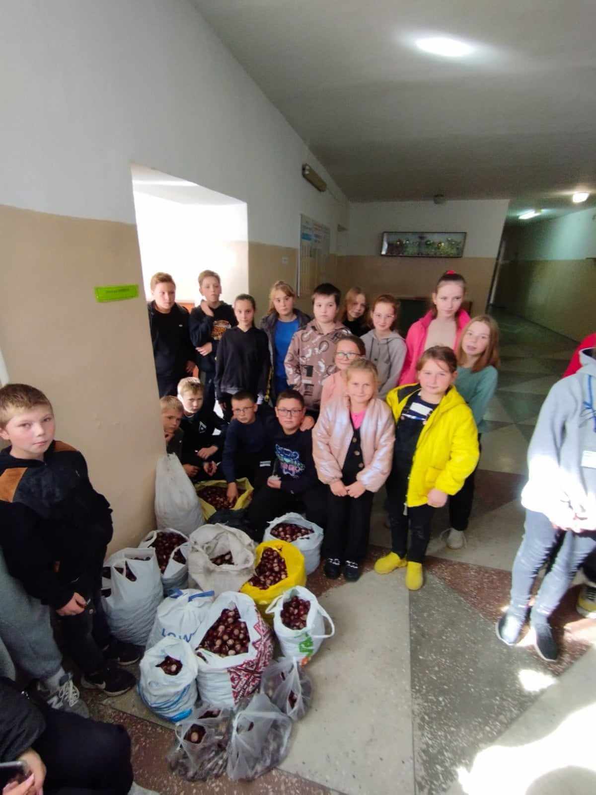 Понад 20 тисяч зібрали на потреби армії в акції зі збору каштанів