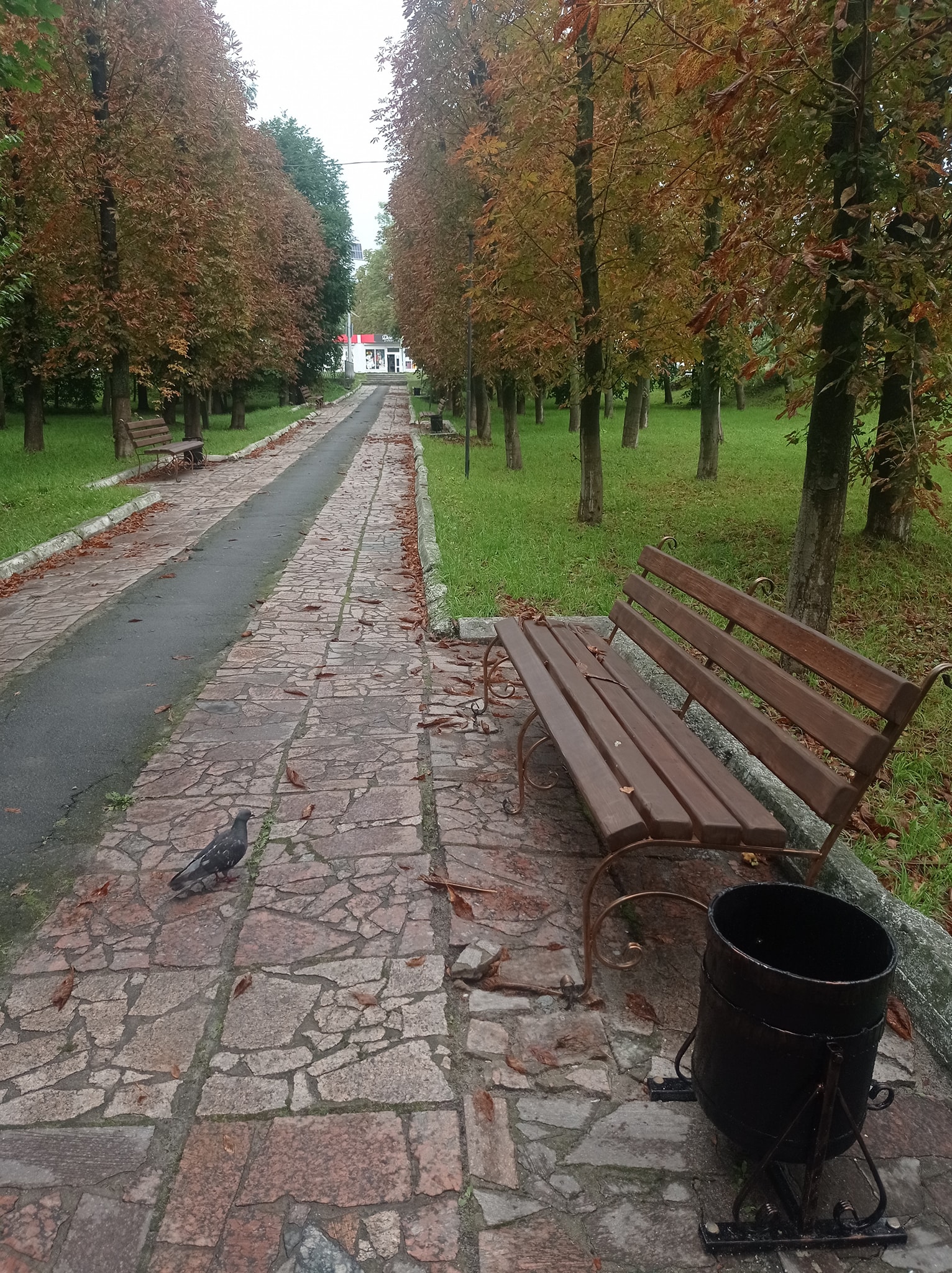 Меценати встановили лавки на території лікарні