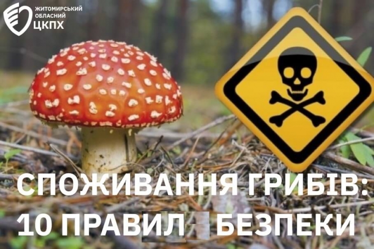 Споживання грибів:  10 правил безпеки