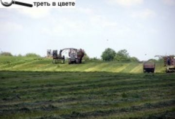 «СІНОКІС ПОТРІБНО ЗАВЕРШУВАТИ, БО НЕЗАБАРОМ ЗБИРАТИМЕМО ХЛІБ»